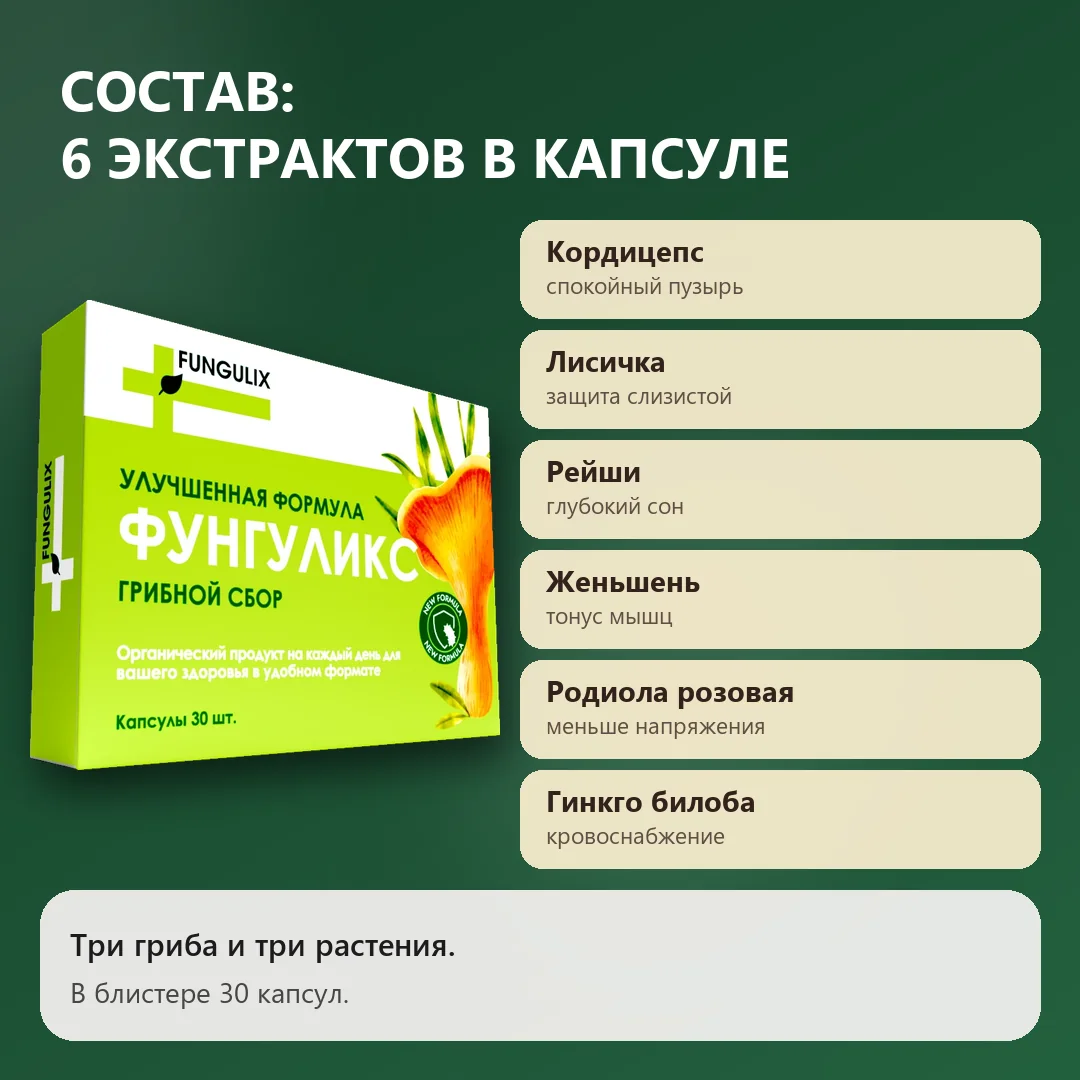 Состав Фунгуликс: шесть экстрактов